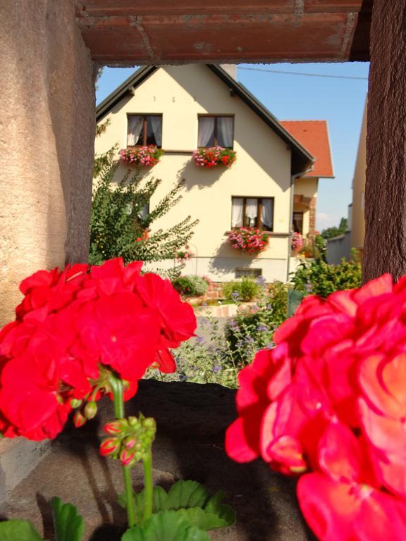 Chambre D'Hotes Du Zellberg Nothalten Esterno foto