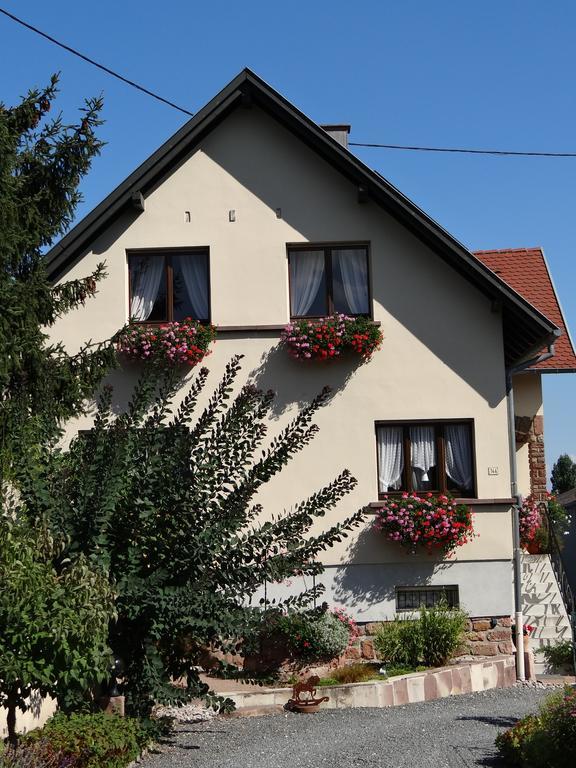 Chambre D'Hotes Du Zellberg Nothalten Esterno foto